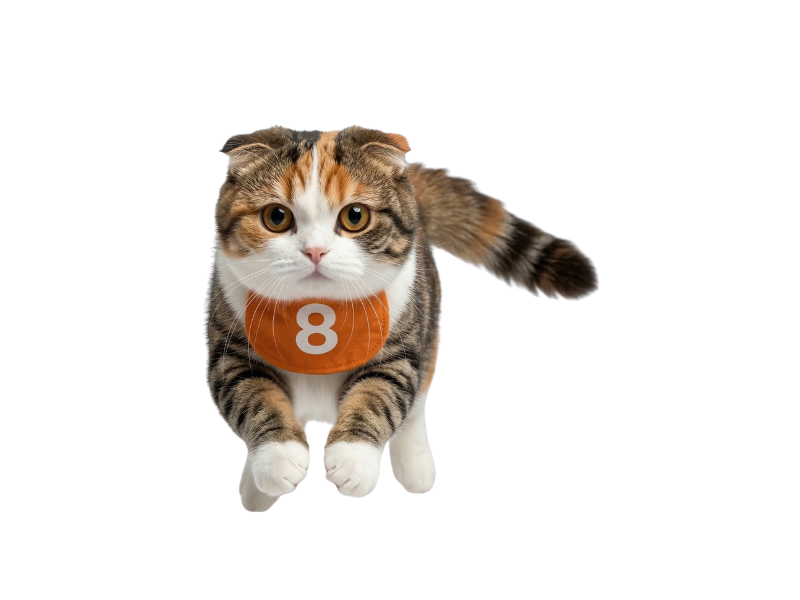 マスコットキャラクター